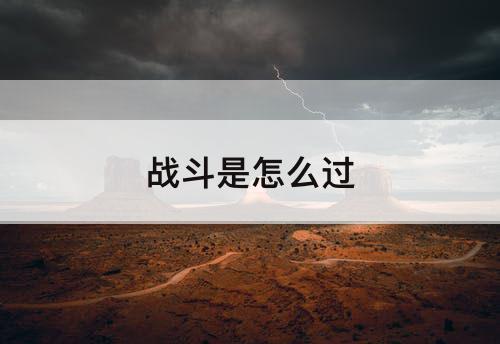 战斗是怎么过