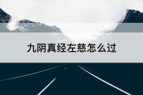九阴真经左慈怎么过