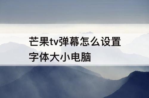 芒果tv弹幕怎么设置字体大小电脑