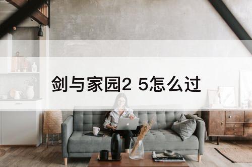 剑与家园2 5怎么过
