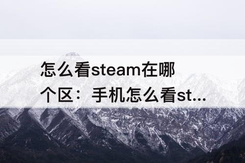 怎么看steam在哪个区：手机怎么看steam在哪个区