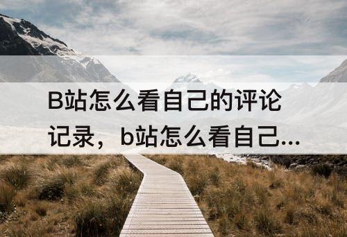 B站怎么看自己的评论记录，b站怎么看自己的评论记录知乎