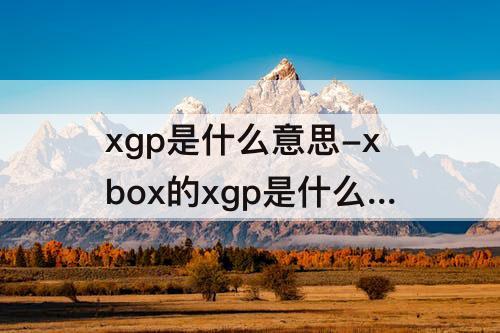 xgp是什么意思-xbox的xgp是什么意思