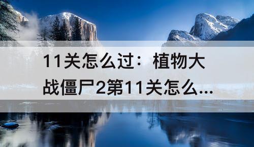 11关怎么过：植物大战僵尸2第11关怎么过