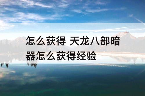 怎么获得 天龙八部暗器怎么获得经验