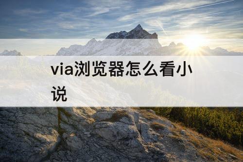 via浏览器怎么看小说