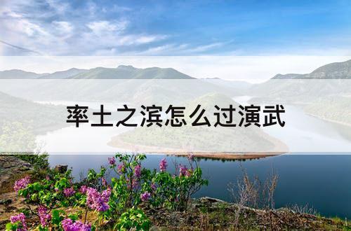 率土之滨怎么过演武