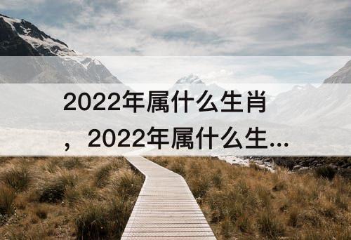 2022年属什么生肖，2022年属什么生肖什么命1