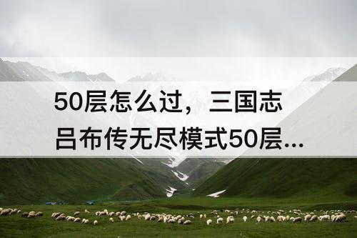50层怎么过，三国志吕布传无尽模式50层怎么过