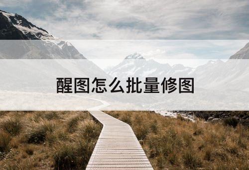 醒图怎么批量修图
