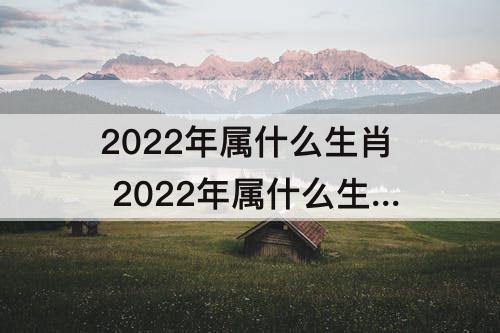 2022年属什么生肖 2022年属什么生肖虎年