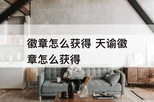 徽章怎么获得 天谕徽章怎么获得