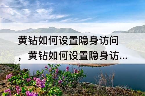 黄钻如何设置隐身访问，黄钻如何设置隐身访问陌生人空间