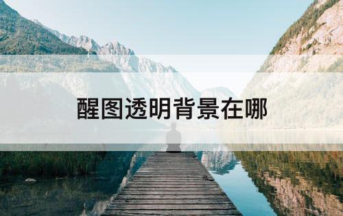 醒图透明背景在哪