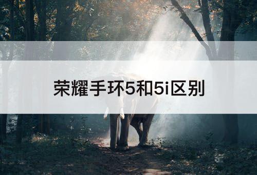 荣耀手环5和5i区别