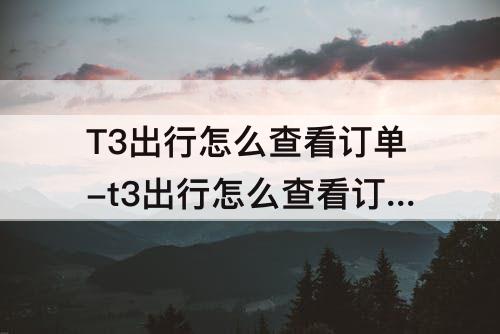 T3出行怎么查看订单-t3出行怎么查看订单号