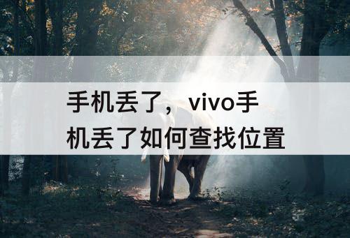 手机丢了，vivo手机丢了如何查找位置