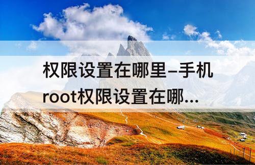 权限设置在哪里-手机root权限设置在哪里设置