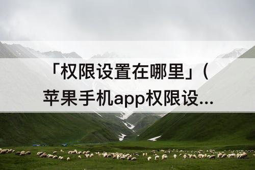 「权限设置在哪里」(苹果手机app权限设置在哪里设置不用密码)