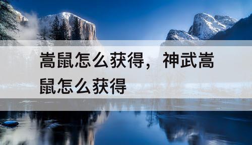 嵩鼠怎么获得，神武嵩鼠怎么获得