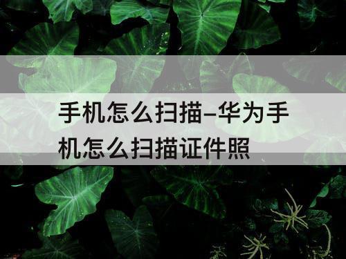 手机怎么扫描-华为手机怎么扫描证件照