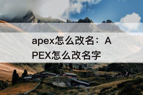 apex怎么改名：APEX怎么改名字