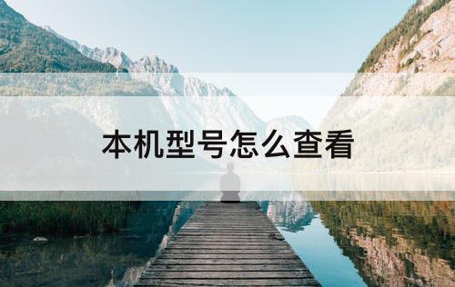 本机型号怎么查看