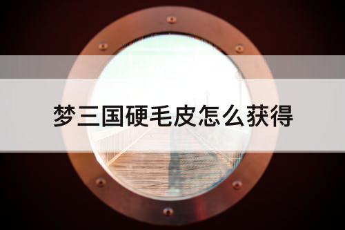 梦三国硬毛皮怎么获得