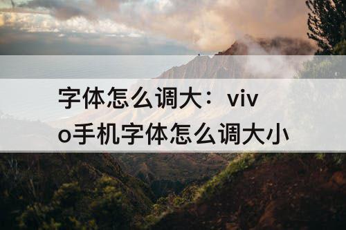 字体怎么调大：vivo手机字体怎么调大小