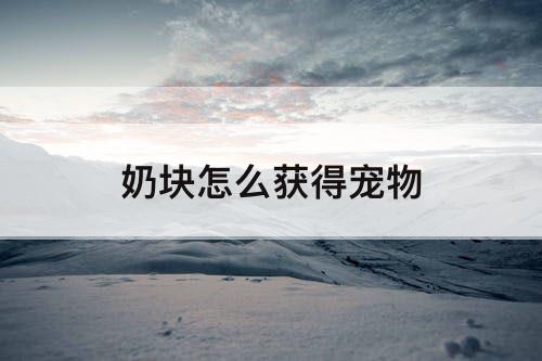 奶块怎么获得宠物
