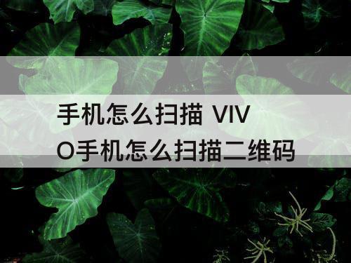 手机怎么扫描 VIVO手机怎么扫描二维码