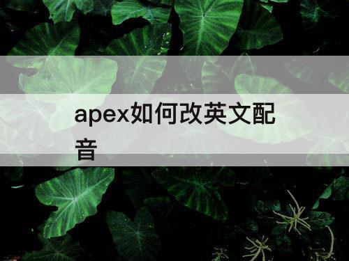 apex如何改英文配音