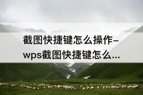 截图快捷键怎么操作-wps截图快捷键怎么操作