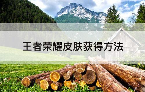 王者荣耀皮肤获得方法