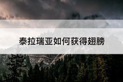 泰拉瑞亚如何获得翅膀