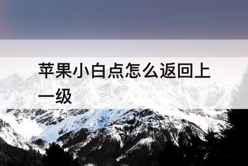 苹果小白点怎么返回上一级