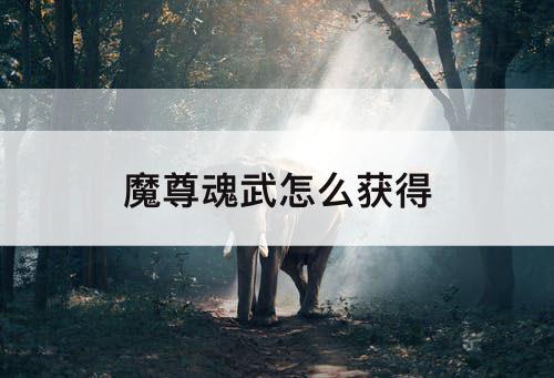 魔尊魂武怎么获得