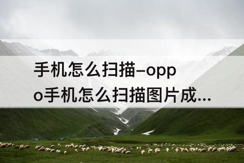 手机怎么扫描-oppo手机怎么扫描图片成电子版