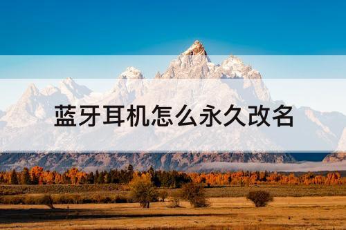 蓝牙耳机怎么永久改名