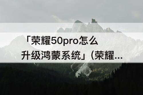 「荣耀50pro怎么升级鸿蒙系统」(荣耀50pro怎么升级鸿蒙系统教程)