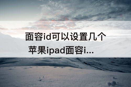 面容id可以设置几个 苹果ipad面容id可以设置几个