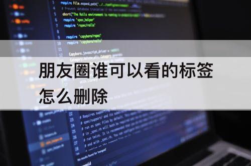 朋友圈谁可以看的标签怎么删除