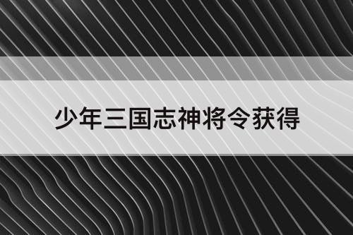 少年三国志神将令获得