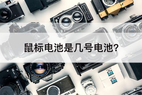 鼠标电池是几号电池?