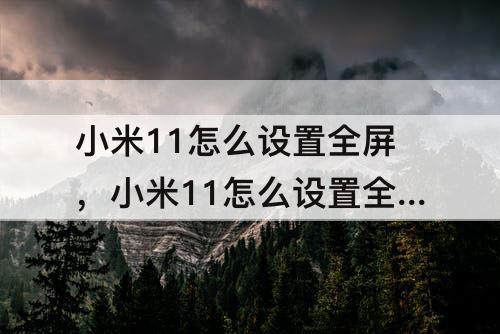 小米11怎么设置全屏，小米11怎么设置全屏拍照