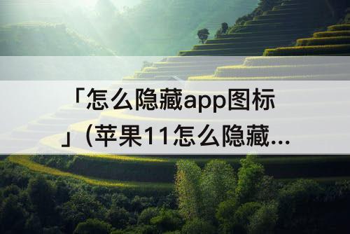 「怎么隐藏app图标」(苹果11怎么隐藏app图标又能随时打开)