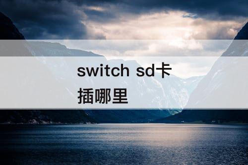 switch sd卡插哪里