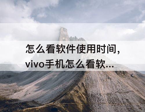 怎么看软件使用时间，vivo手机怎么看软件使用时间