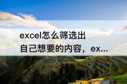 excel怎么筛选出自己想要的内容，excel怎么筛选出自己想要的内容并计算