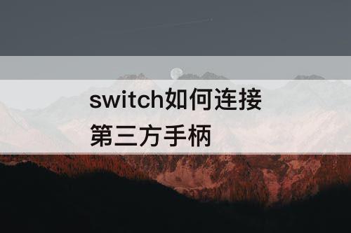 switch如何连接第三方手柄